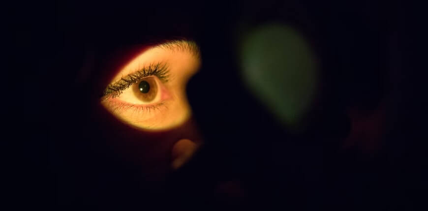 The Impact of Light on Myopia: Outdoor and Indoor Factors