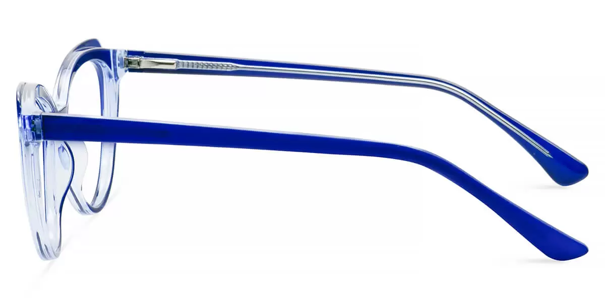 W2038 Oval Blue Eyeglasses Frames Leoptique
