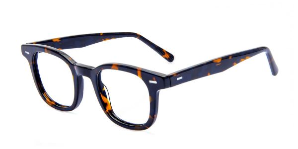 JQ1002-Blue-Tortoise-JQ1002-3856