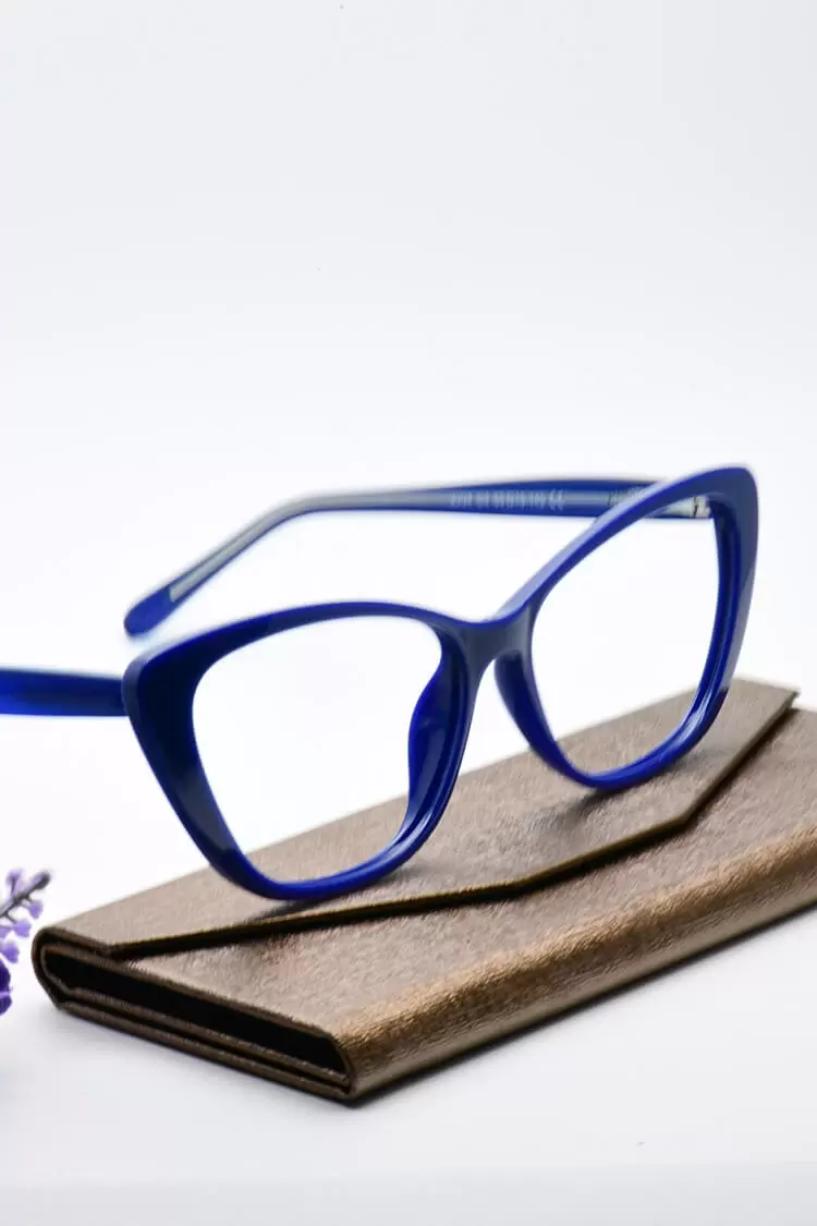 W2004 Oval Blue Eyeglasses Frames Leoptique